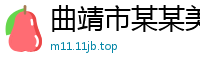 曲靖市某某美容美发设备制造厂